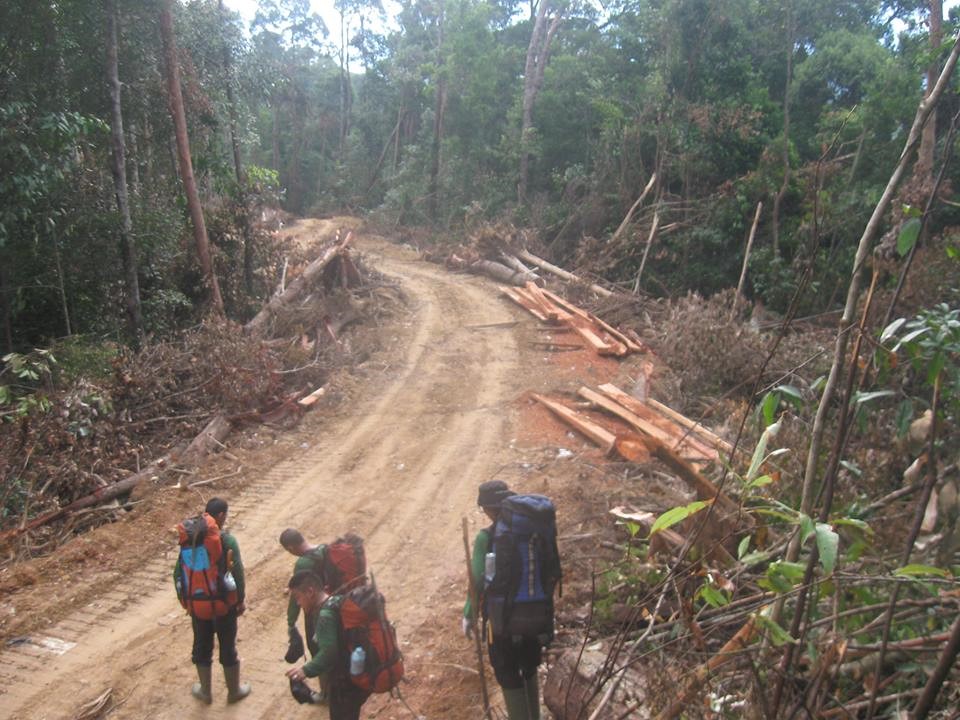 Jalan pembalakan liar yang ditemukan Tim Patroli Pada Bulan Mei 2013 di Wilayah HL dan TNKS solok selatan