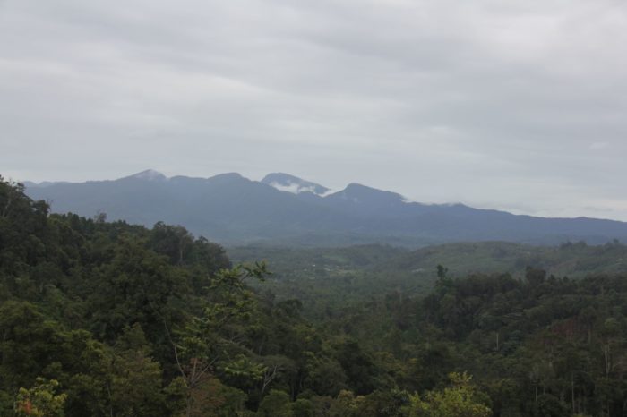 Bentang alam Taman Nasional Kerinci Seblat, berbatasan dengan lokasi tersebut para petani dampingan Akar Network membudidayakan kopi mereka.
