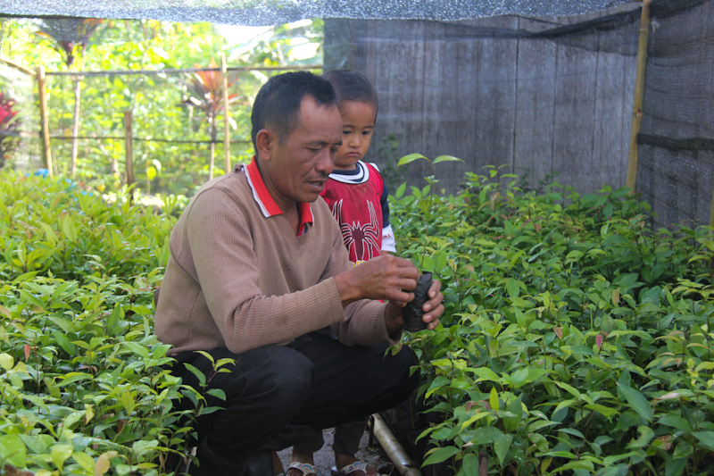Salah seorang penerima bantuan bibit dari TFCA-Sumatera sedang merawat bibitnya sebelum ditanam.