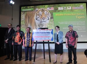 12 million pledge