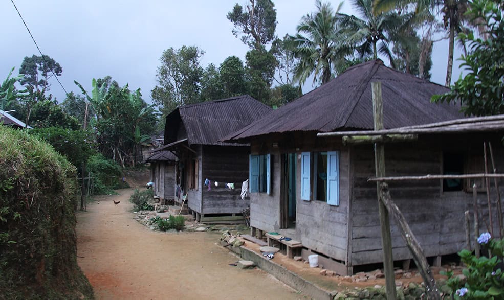Kampung aek mateo