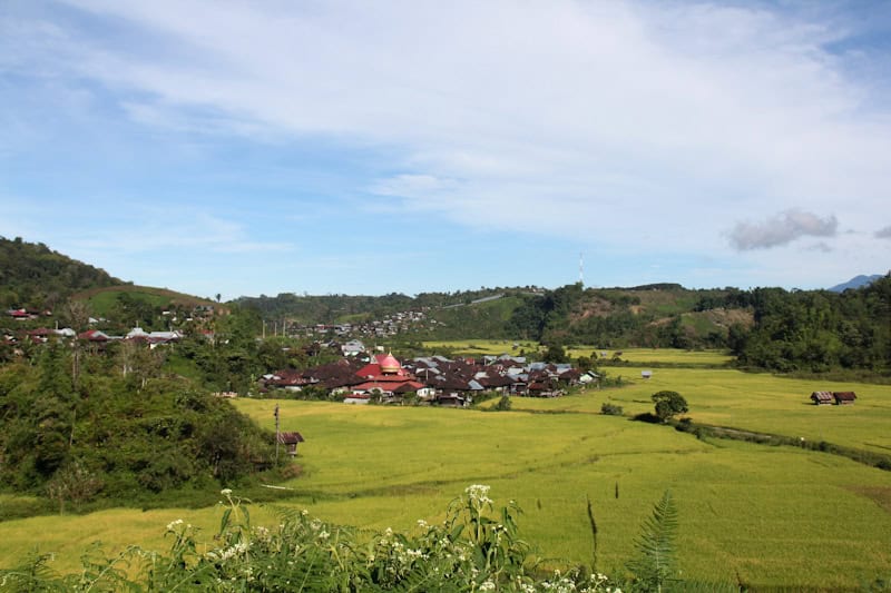 Bentang Alam desa Muara Madras, salah satu dampingan Mitra Aksi.
